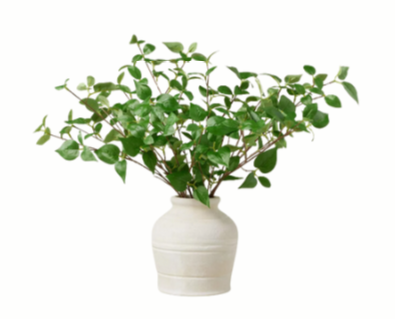 Screen Shot 2025-08-02 at 7.02.41 PM